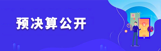 預(yù)決算公開(kāi)