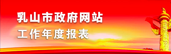 政府網(wǎng)站工作年度報(bào)表